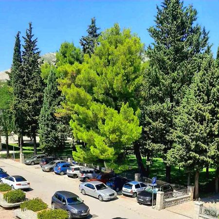 Apartman Park Требине Екстериор снимка